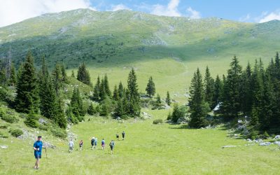 Team building Pepaj te stani Fatosit