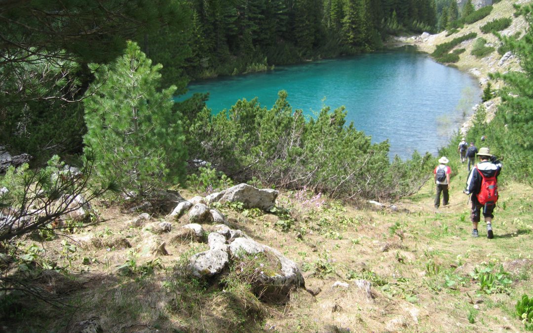 Rugova Lakes and Guesthouse at Lojza e Zekes